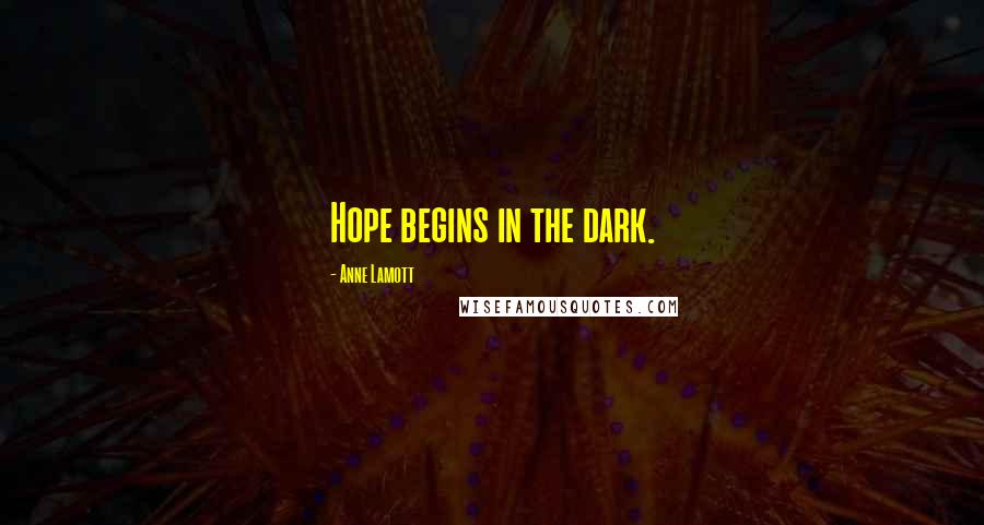 Anne Lamott Quotes: Hope begins in the dark.