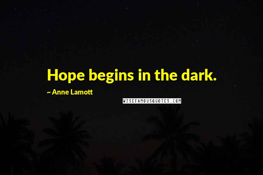 Anne Lamott Quotes: Hope begins in the dark.