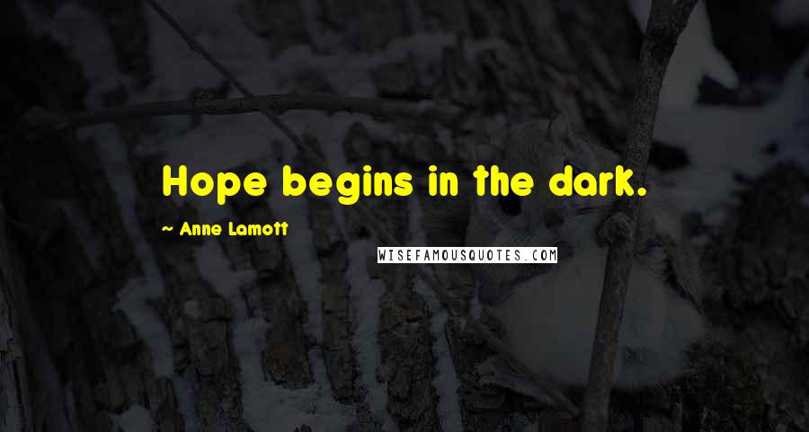 Anne Lamott Quotes: Hope begins in the dark.