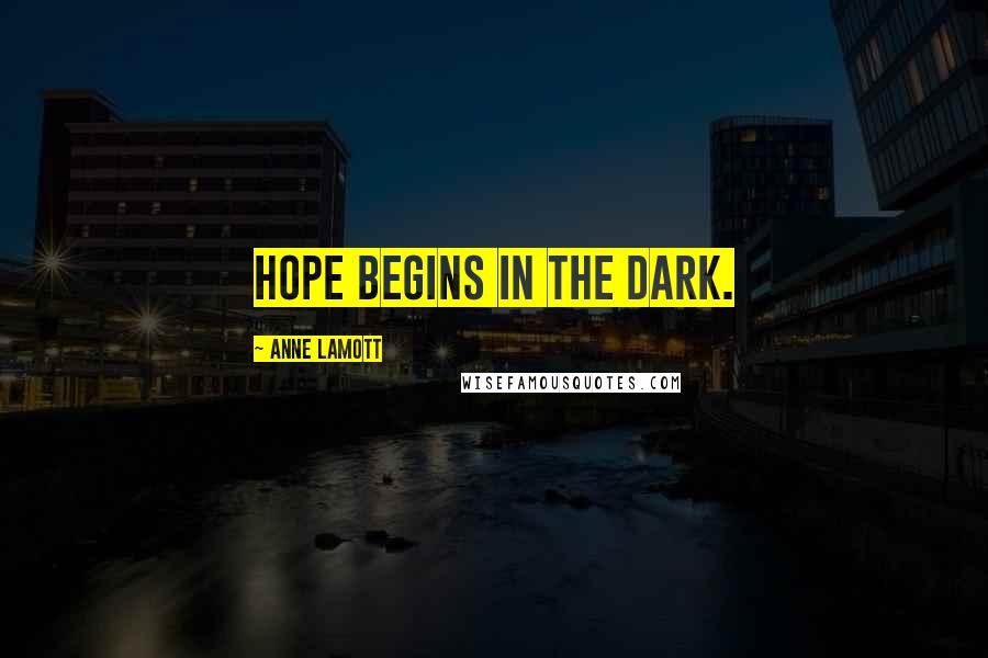 Anne Lamott Quotes: Hope begins in the dark.