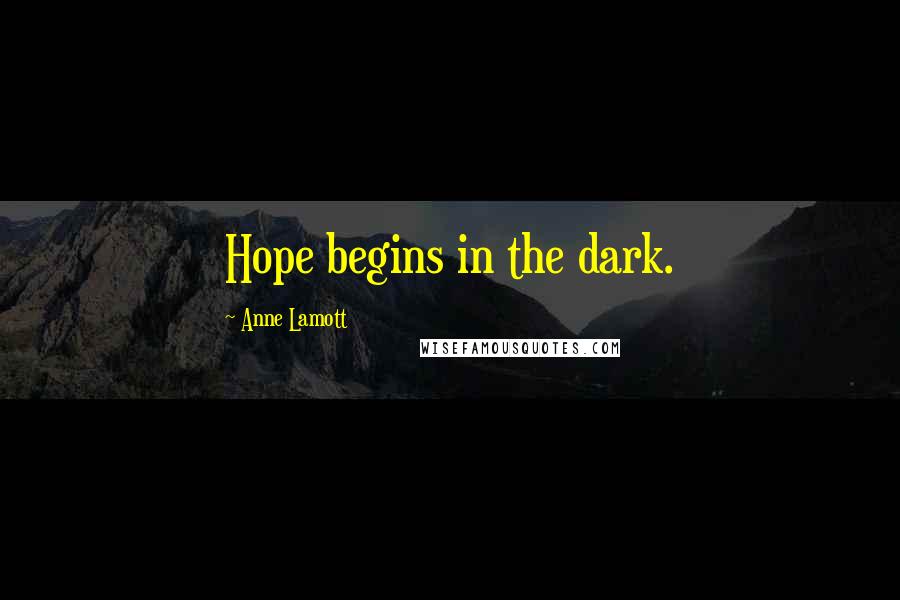 Anne Lamott Quotes: Hope begins in the dark.