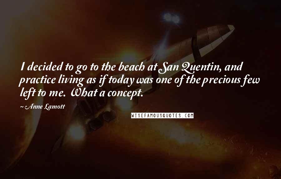 Anne Lamott Quotes: I decided to go to the beach at San Quentin, and practice living as if today was one of the precious few left to me. What a concept.