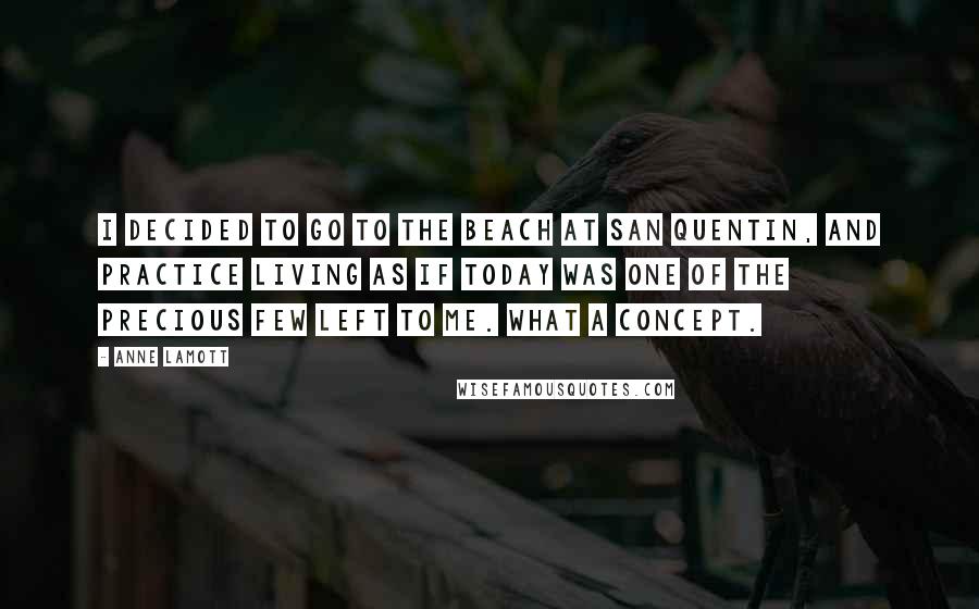 Anne Lamott Quotes: I decided to go to the beach at San Quentin, and practice living as if today was one of the precious few left to me. What a concept.