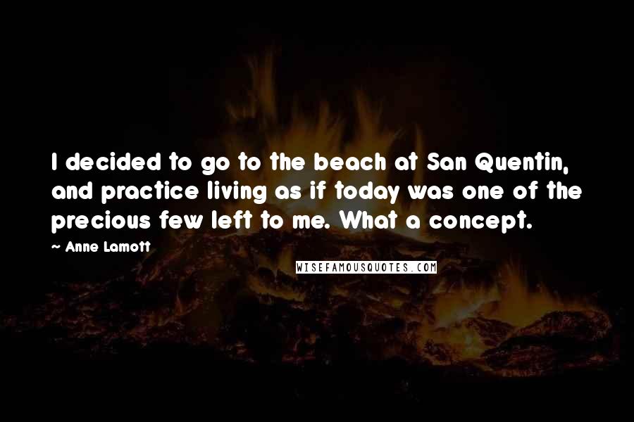 Anne Lamott Quotes: I decided to go to the beach at San Quentin, and practice living as if today was one of the precious few left to me. What a concept.