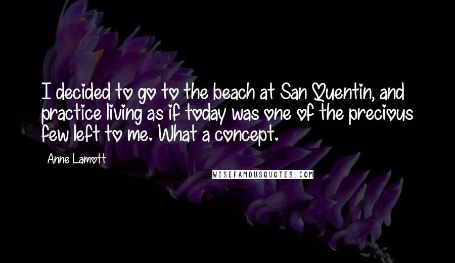 Anne Lamott Quotes: I decided to go to the beach at San Quentin, and practice living as if today was one of the precious few left to me. What a concept.