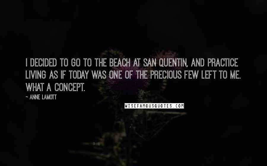 Anne Lamott Quotes: I decided to go to the beach at San Quentin, and practice living as if today was one of the precious few left to me. What a concept.