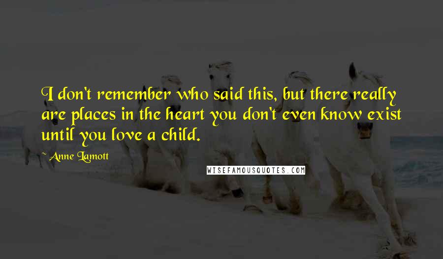 Anne Lamott Quotes: I don't remember who said this, but there really are places in the heart you don't even know exist until you love a child.