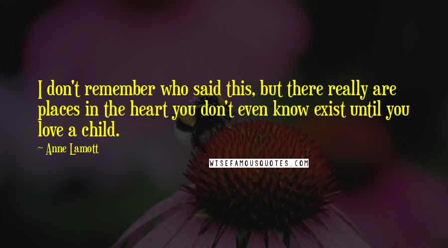 Anne Lamott Quotes: I don't remember who said this, but there really are places in the heart you don't even know exist until you love a child.