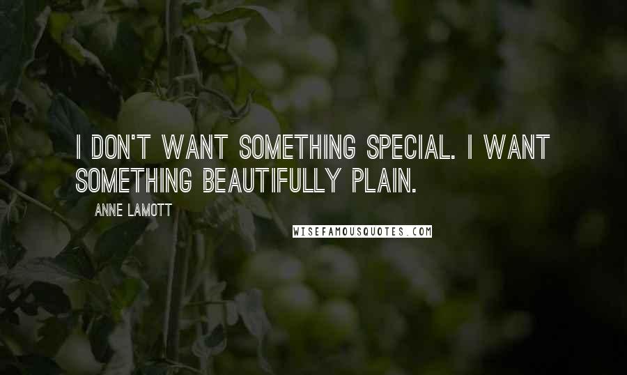 Anne Lamott Quotes: I don't want something special. I want something beautifully plain.