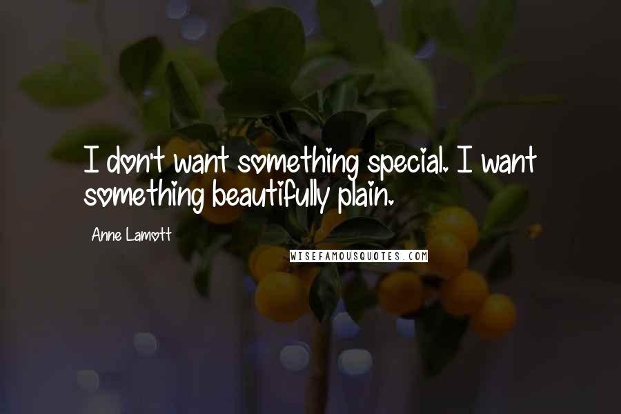Anne Lamott Quotes: I don't want something special. I want something beautifully plain.