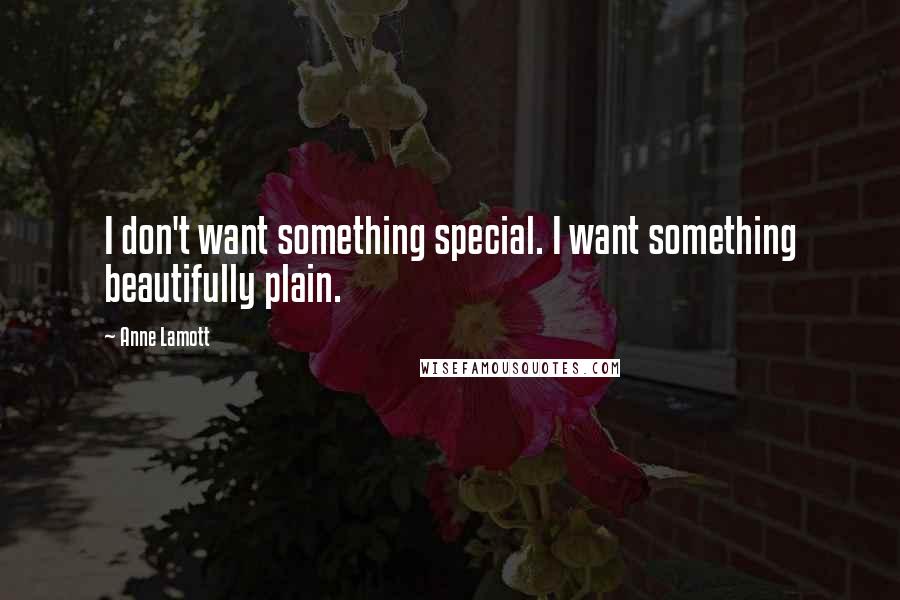 Anne Lamott Quotes: I don't want something special. I want something beautifully plain.