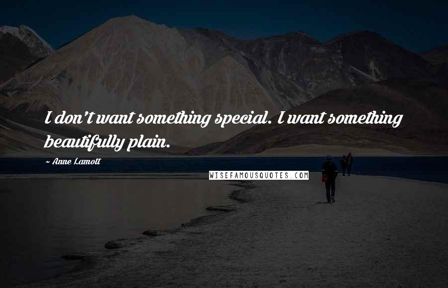 Anne Lamott Quotes: I don't want something special. I want something beautifully plain.