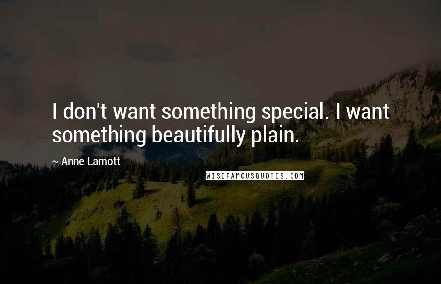 Anne Lamott Quotes: I don't want something special. I want something beautifully plain.