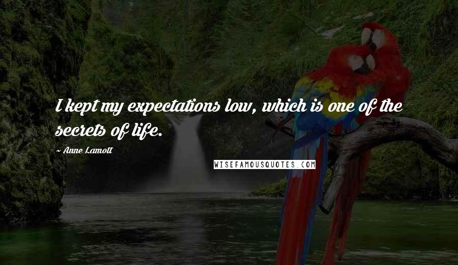 Anne Lamott Quotes: I kept my expectations low, which is one of the secrets of life.