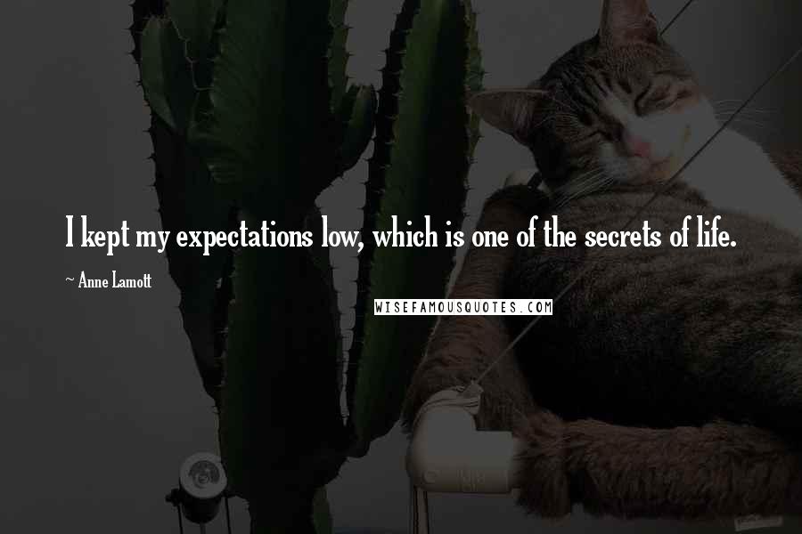 Anne Lamott Quotes: I kept my expectations low, which is one of the secrets of life.