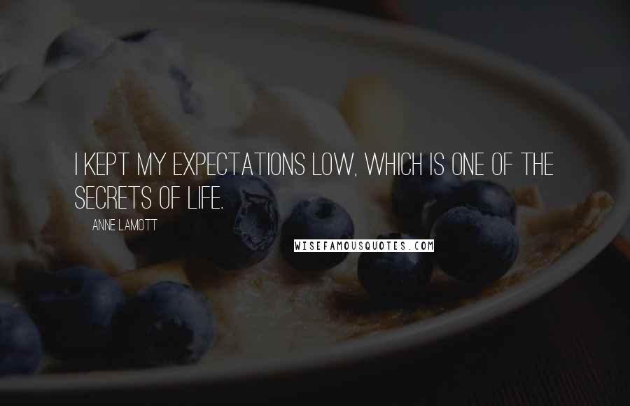 Anne Lamott Quotes: I kept my expectations low, which is one of the secrets of life.