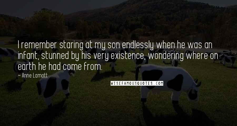 Anne Lamott Quotes: I remember staring at my son endlessly when he was an infant, stunned by his very existence, wondering where on earth he had come from.