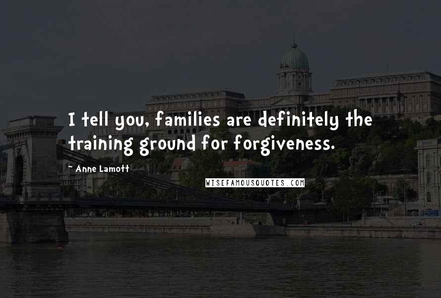 Anne Lamott Quotes: I tell you, families are definitely the training ground for forgiveness.