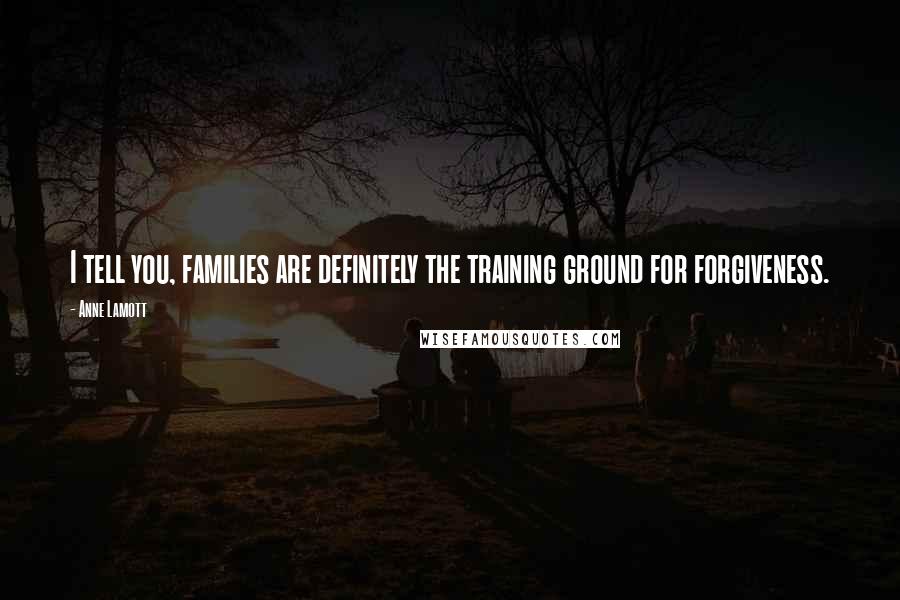 Anne Lamott Quotes: I tell you, families are definitely the training ground for forgiveness.