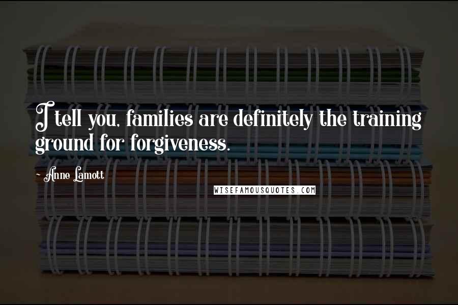 Anne Lamott Quotes: I tell you, families are definitely the training ground for forgiveness.