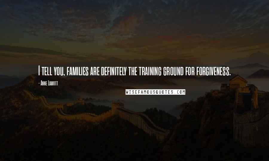 Anne Lamott Quotes: I tell you, families are definitely the training ground for forgiveness.