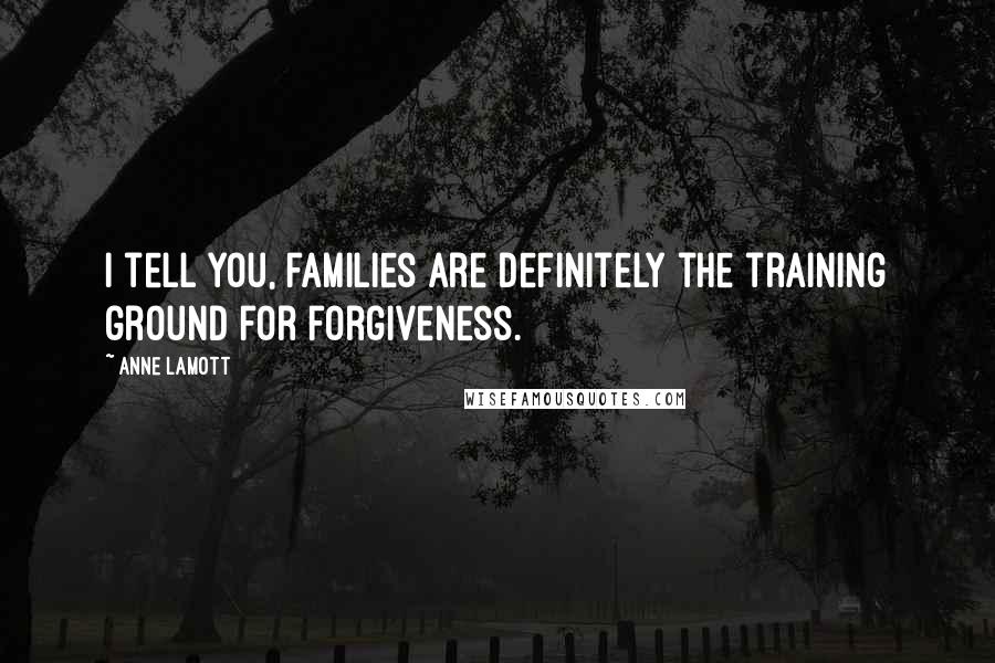 Anne Lamott Quotes: I tell you, families are definitely the training ground for forgiveness.
