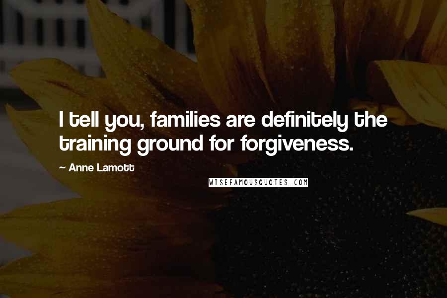 Anne Lamott Quotes: I tell you, families are definitely the training ground for forgiveness.