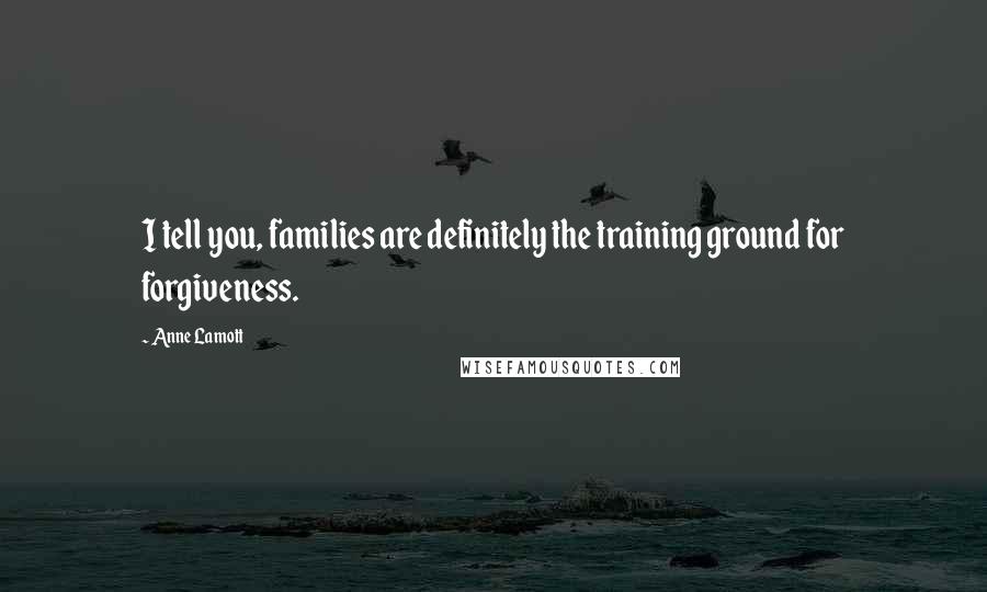 Anne Lamott Quotes: I tell you, families are definitely the training ground for forgiveness.