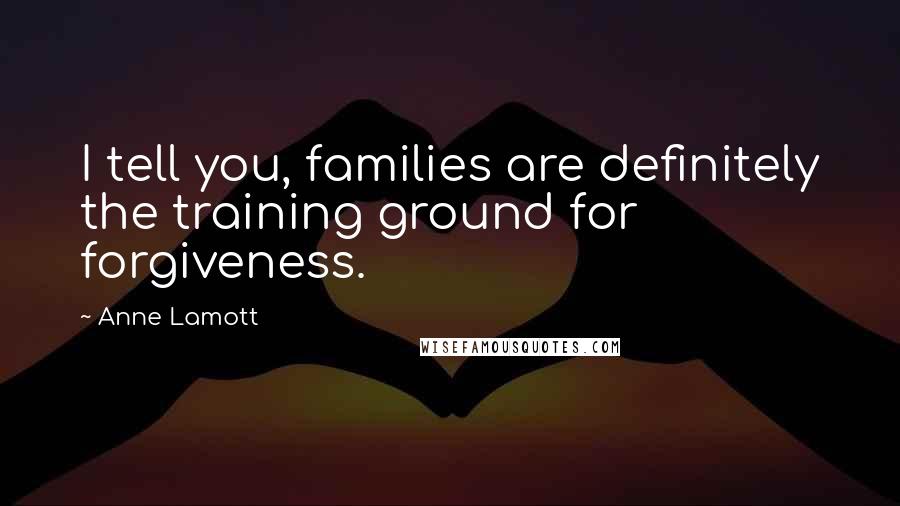 Anne Lamott Quotes: I tell you, families are definitely the training ground for forgiveness.