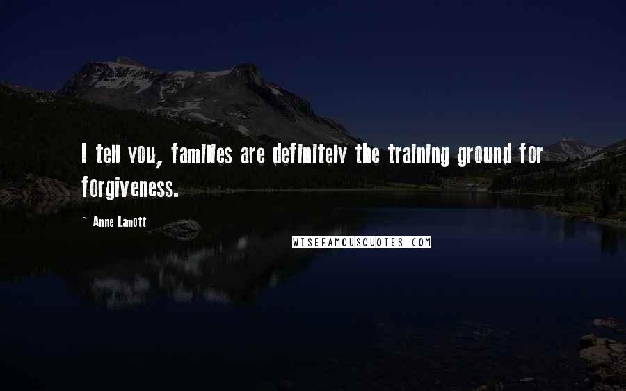 Anne Lamott Quotes: I tell you, families are definitely the training ground for forgiveness.