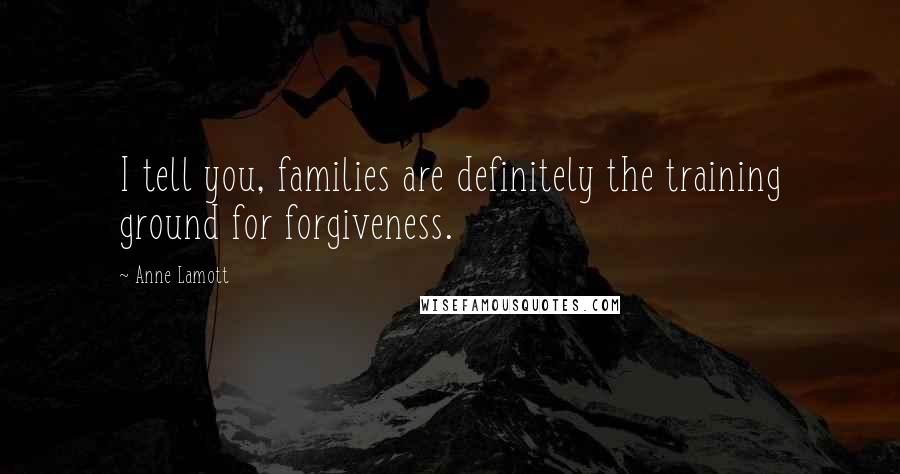 Anne Lamott Quotes: I tell you, families are definitely the training ground for forgiveness.