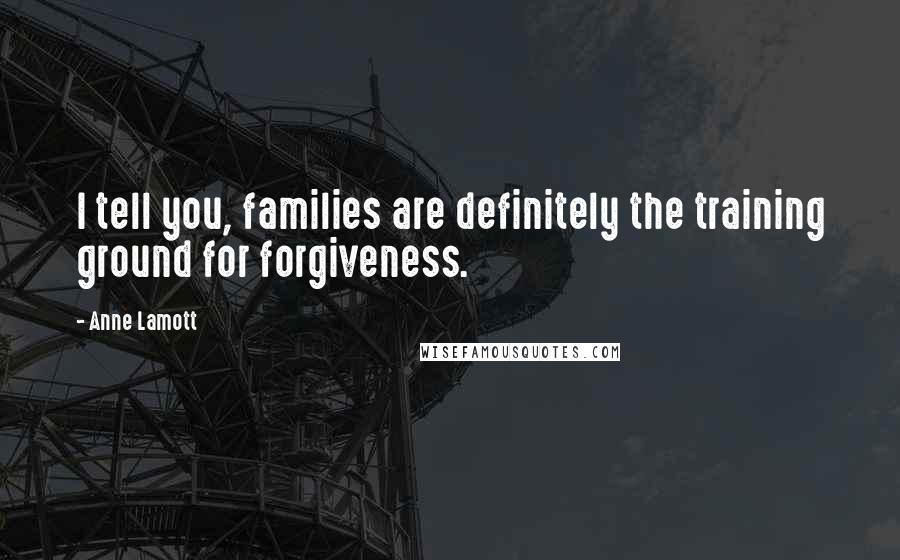 Anne Lamott Quotes: I tell you, families are definitely the training ground for forgiveness.