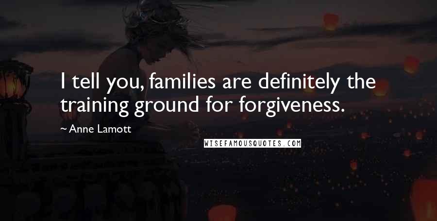 Anne Lamott Quotes: I tell you, families are definitely the training ground for forgiveness.