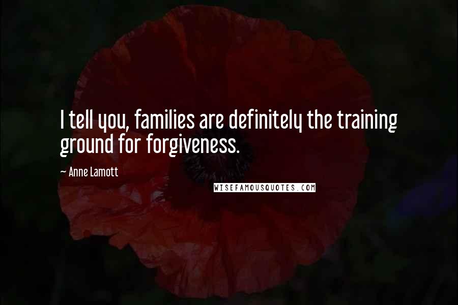 Anne Lamott Quotes: I tell you, families are definitely the training ground for forgiveness.