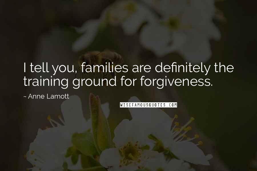 Anne Lamott Quotes: I tell you, families are definitely the training ground for forgiveness.