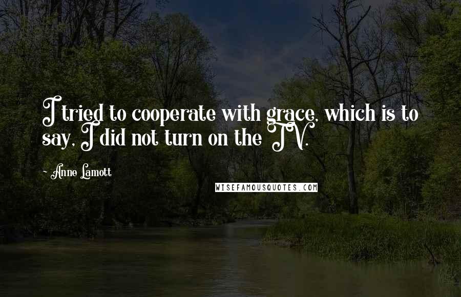 Anne Lamott Quotes: I tried to cooperate with grace, which is to say, I did not turn on the TV.