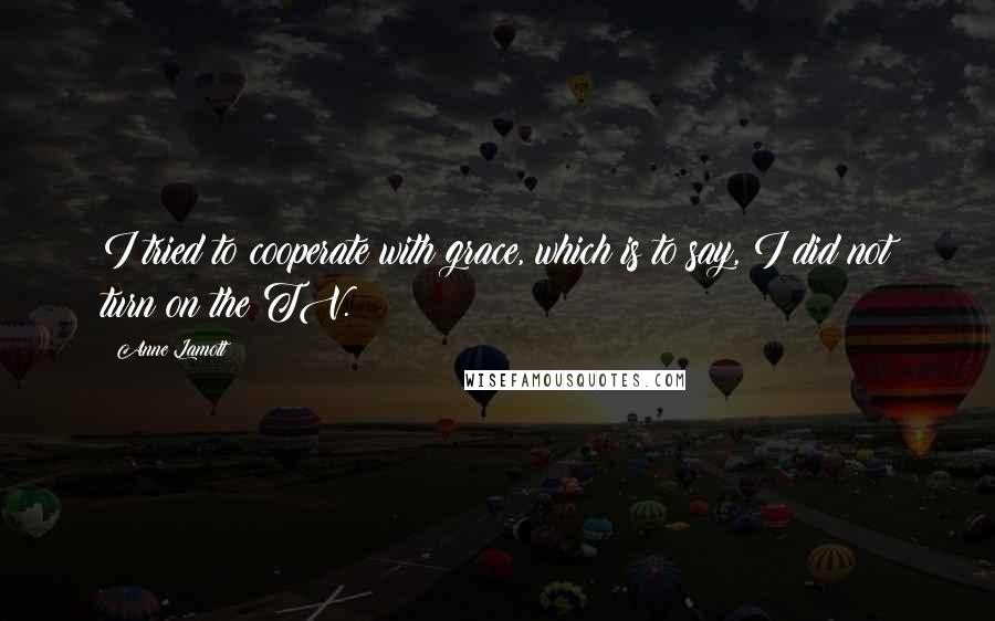 Anne Lamott Quotes: I tried to cooperate with grace, which is to say, I did not turn on the TV.