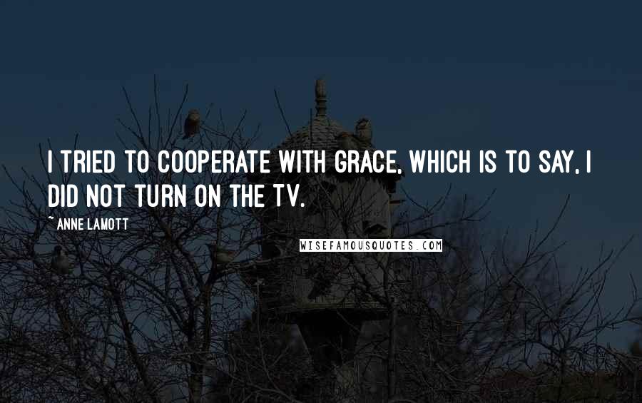 Anne Lamott Quotes: I tried to cooperate with grace, which is to say, I did not turn on the TV.