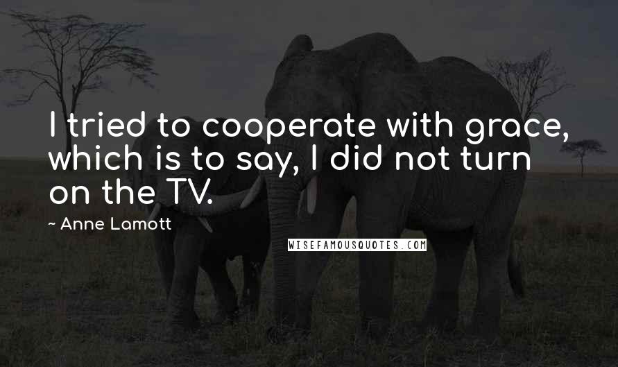 Anne Lamott Quotes: I tried to cooperate with grace, which is to say, I did not turn on the TV.