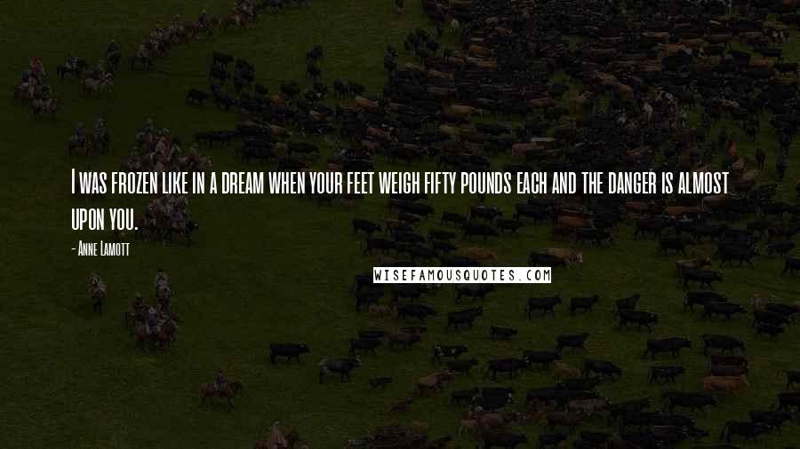 Anne Lamott Quotes: I was frozen like in a dream when your feet weigh fifty pounds each and the danger is almost upon you.