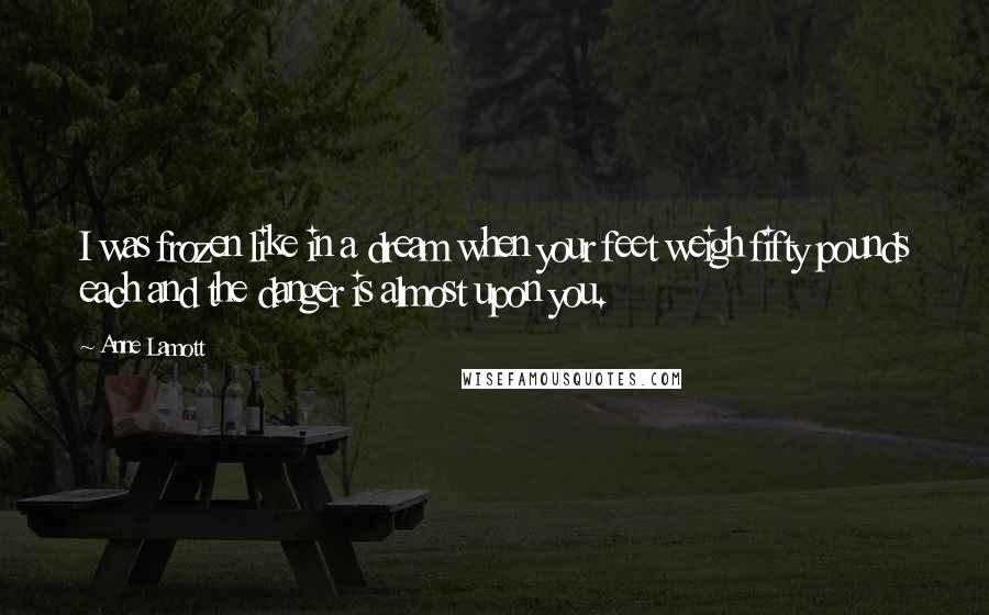 Anne Lamott Quotes: I was frozen like in a dream when your feet weigh fifty pounds each and the danger is almost upon you.