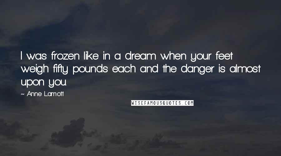 Anne Lamott Quotes: I was frozen like in a dream when your feet weigh fifty pounds each and the danger is almost upon you.