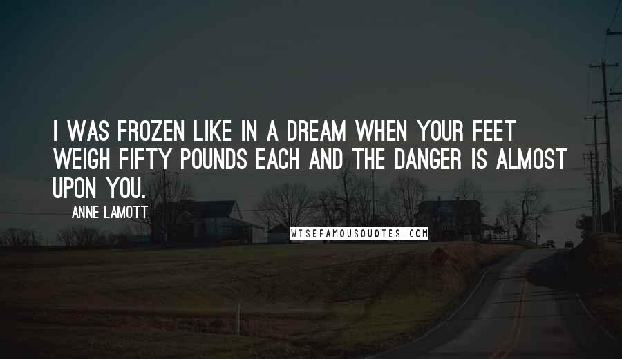 Anne Lamott Quotes: I was frozen like in a dream when your feet weigh fifty pounds each and the danger is almost upon you.
