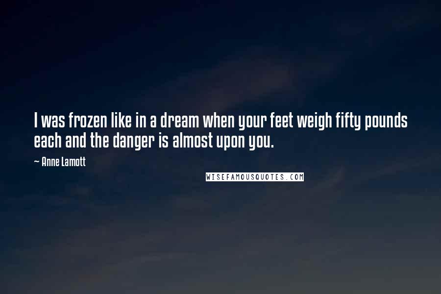 Anne Lamott Quotes: I was frozen like in a dream when your feet weigh fifty pounds each and the danger is almost upon you.