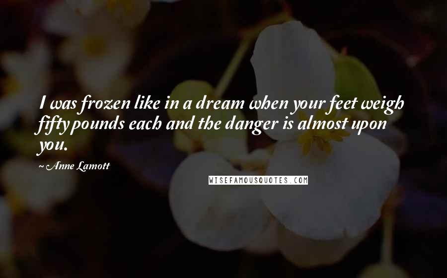 Anne Lamott Quotes: I was frozen like in a dream when your feet weigh fifty pounds each and the danger is almost upon you.