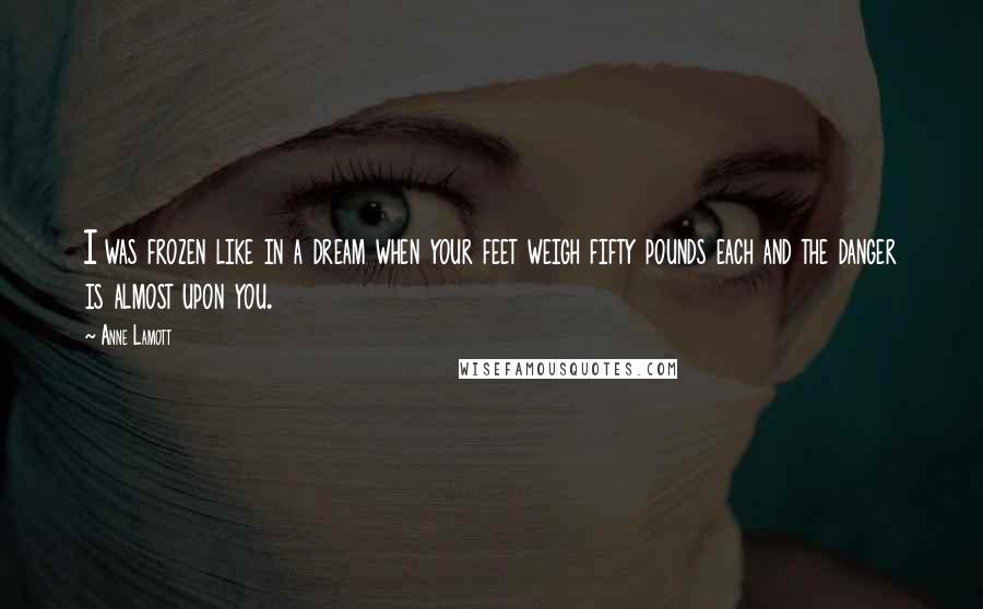Anne Lamott Quotes: I was frozen like in a dream when your feet weigh fifty pounds each and the danger is almost upon you.