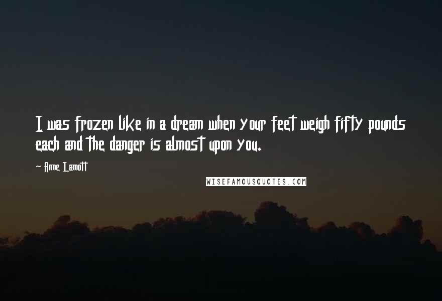 Anne Lamott Quotes: I was frozen like in a dream when your feet weigh fifty pounds each and the danger is almost upon you.