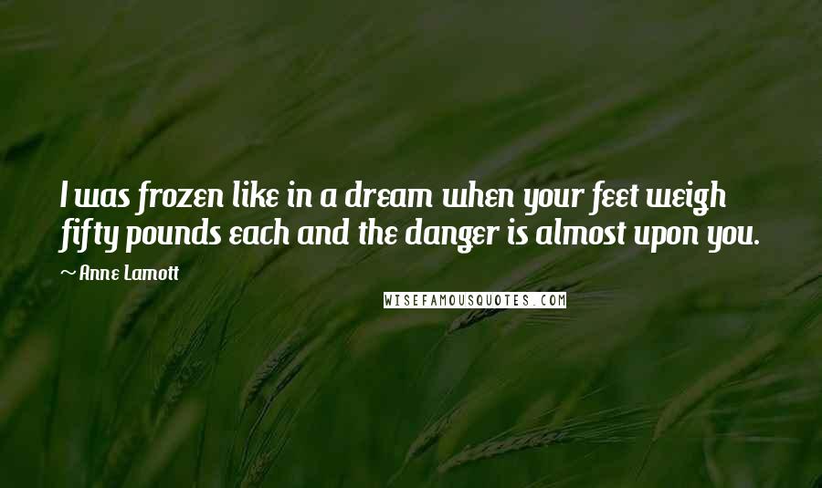 Anne Lamott Quotes: I was frozen like in a dream when your feet weigh fifty pounds each and the danger is almost upon you.