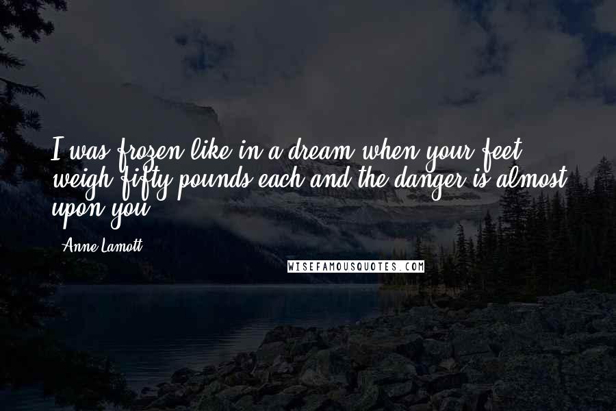 Anne Lamott Quotes: I was frozen like in a dream when your feet weigh fifty pounds each and the danger is almost upon you.