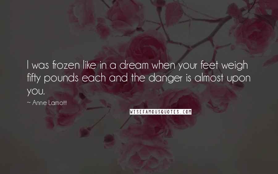 Anne Lamott Quotes: I was frozen like in a dream when your feet weigh fifty pounds each and the danger is almost upon you.